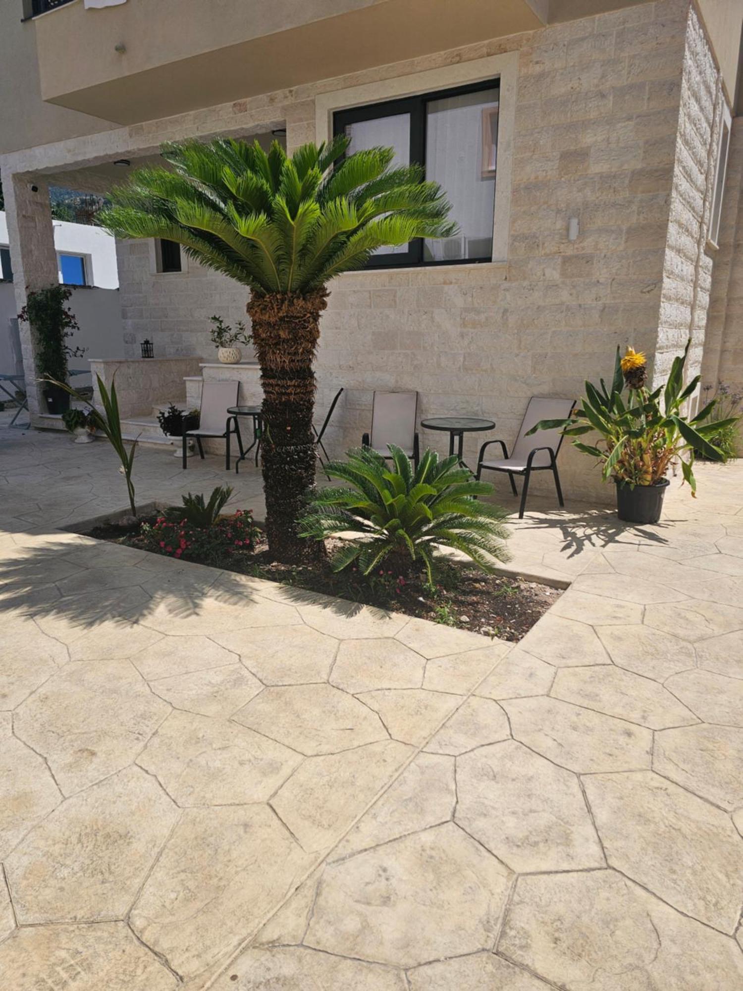 Apartment La Vida Budva